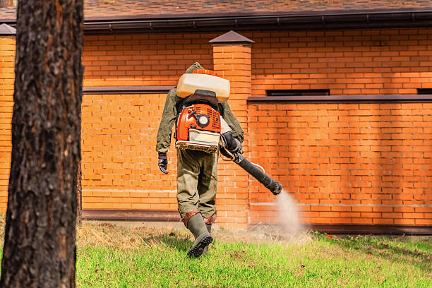 Bed Bug Clearance Verification and Documentation in Antwerp